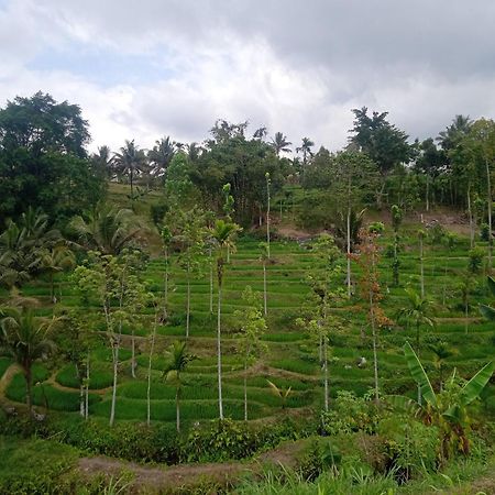 Tetebatu Sunrise Homestay エクステリア 写真