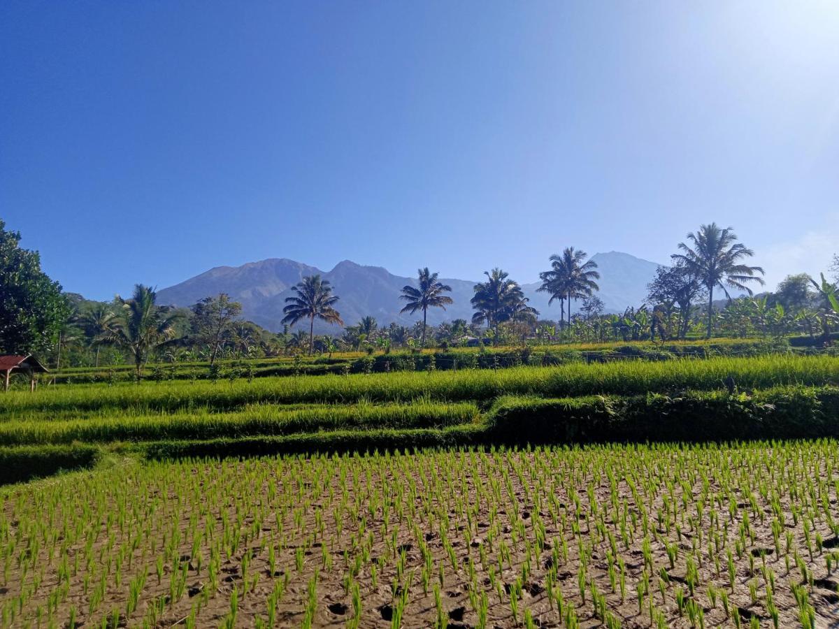 Tetebatu Sunrise Homestay エクステリア 写真