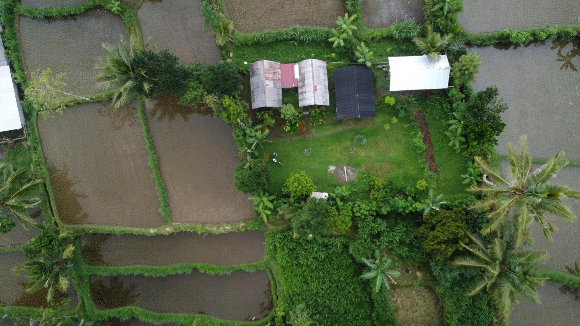 Tetebatu Sunrise Homestay エクステリア 写真