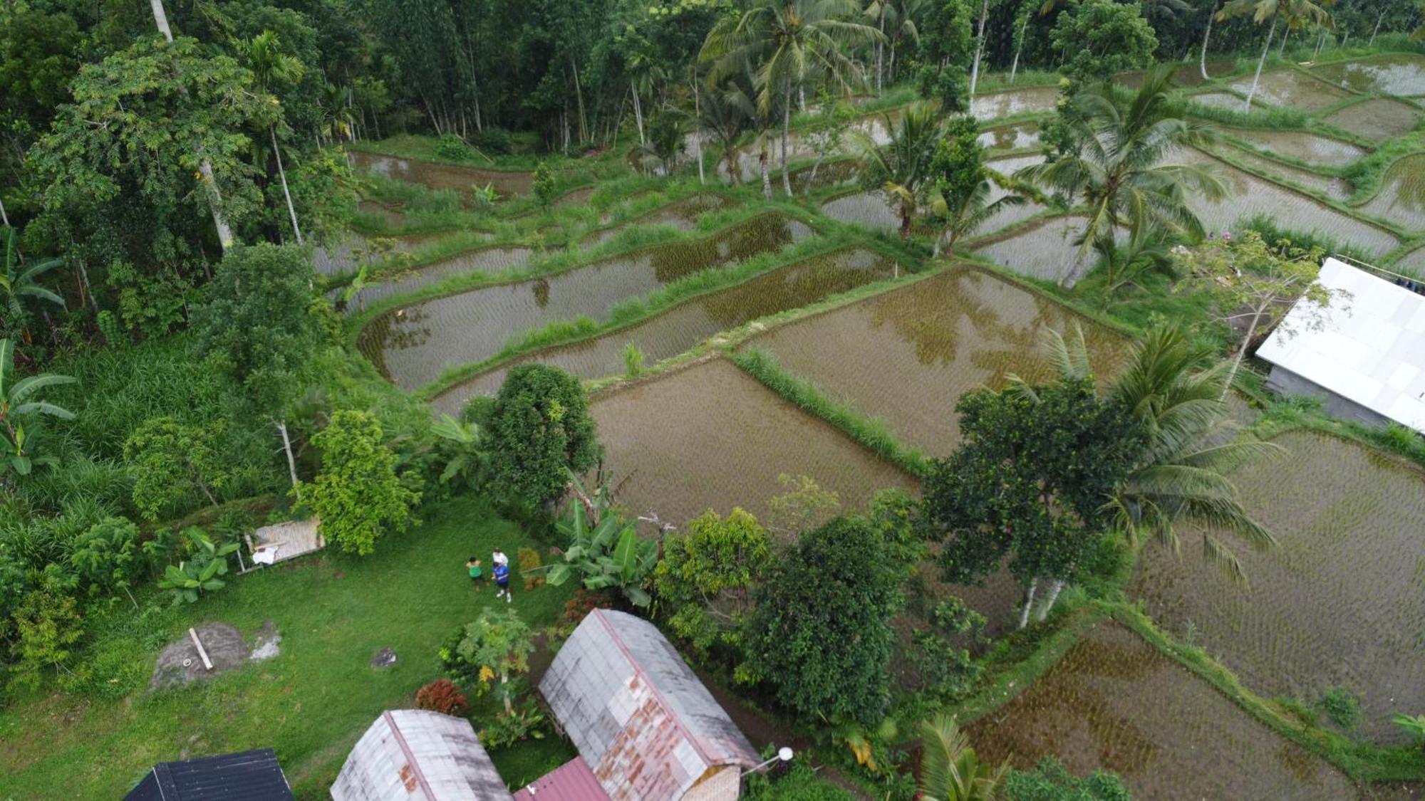 Tetebatu Sunrise Homestay エクステリア 写真