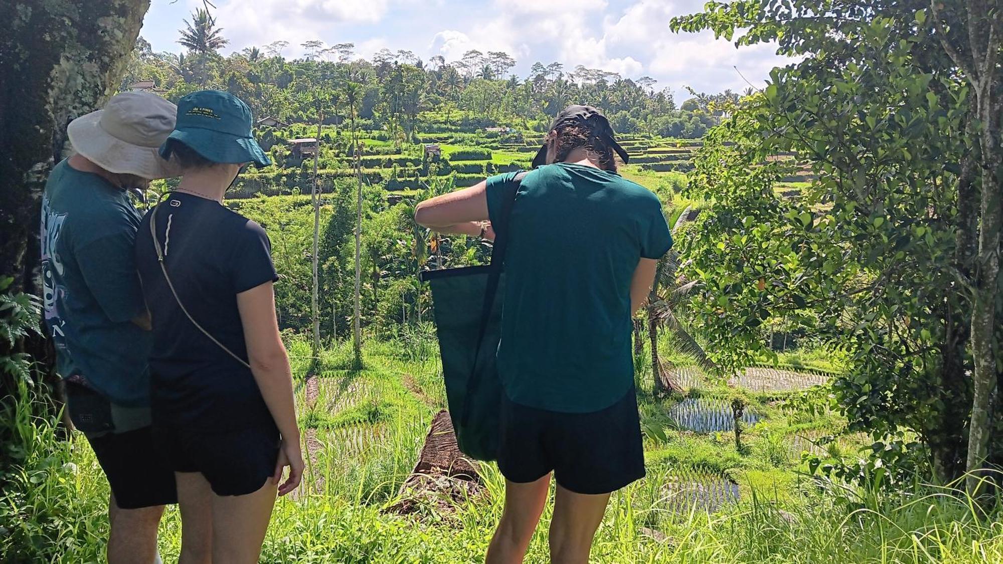 Tetebatu Sunrise Homestay エクステリア 写真