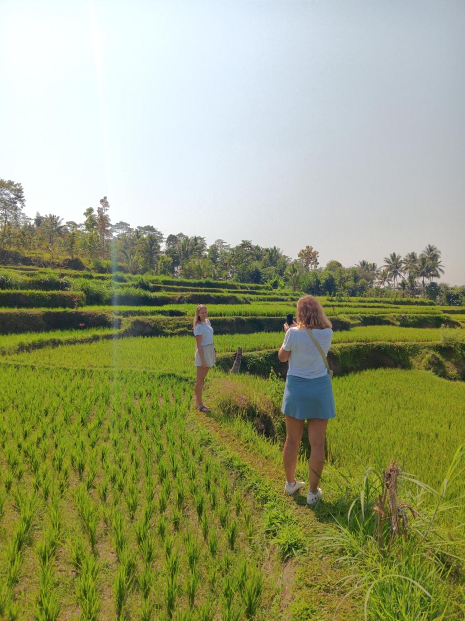 Tetebatu Sunrise Homestay エクステリア 写真