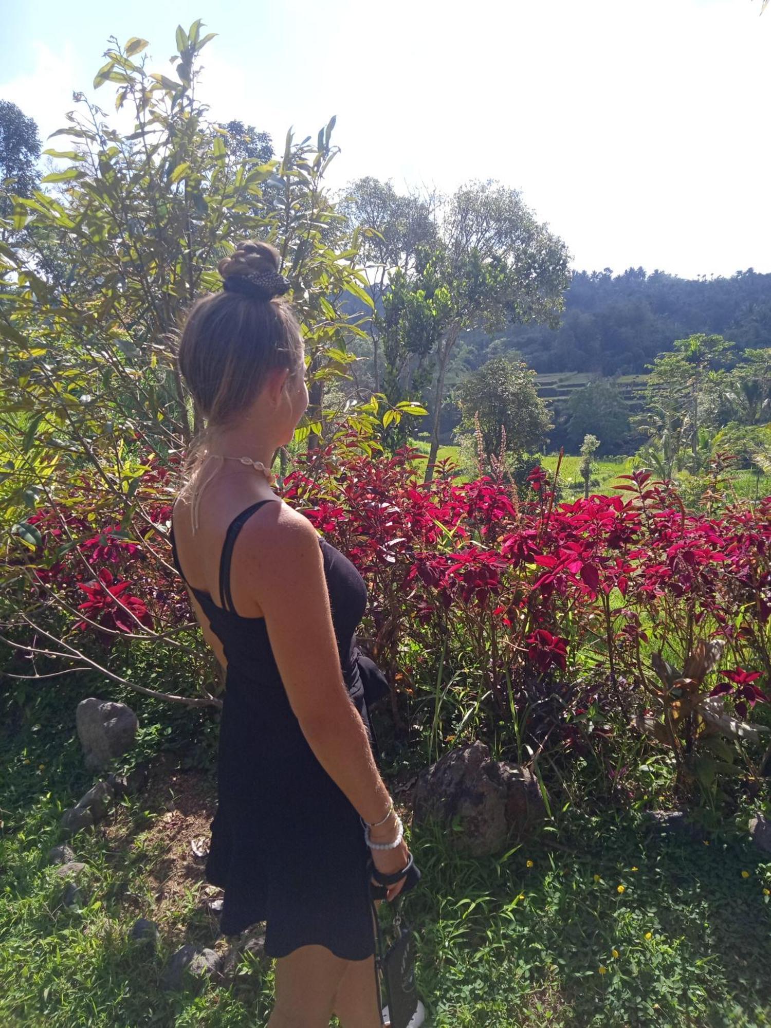 Tetebatu Sunrise Homestay エクステリア 写真