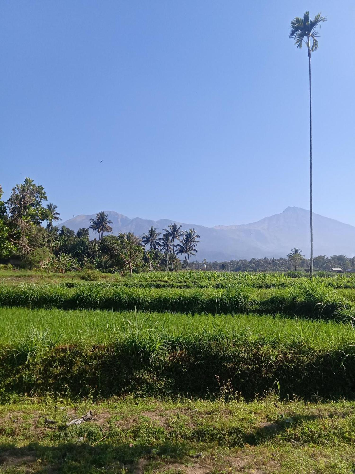 Tetebatu Sunrise Homestay エクステリア 写真