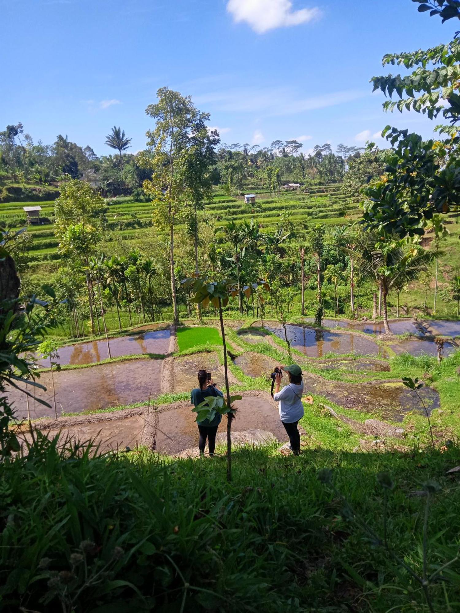 Tetebatu Sunrise Homestay エクステリア 写真